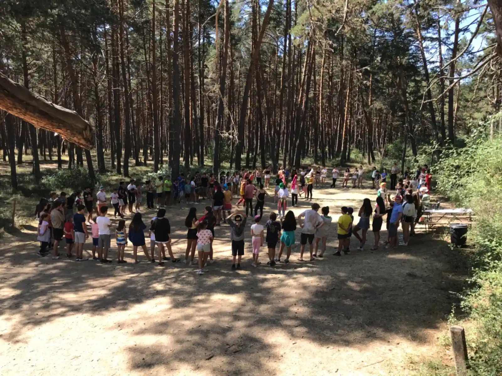 Presentación Campamento de verano Sherpa